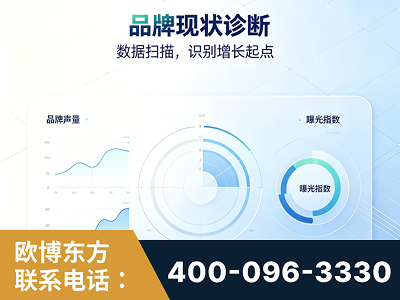 平湖-品牌现状诊断