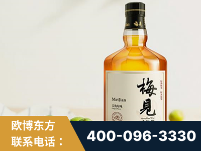 平湖-梅见青梅酒
